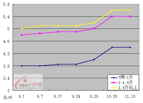 2024年12月28日 第11页